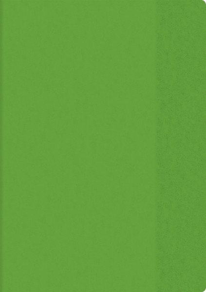 Hefthülle A4 transparent grün Folie